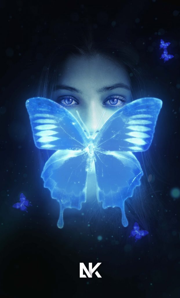 butterfly4