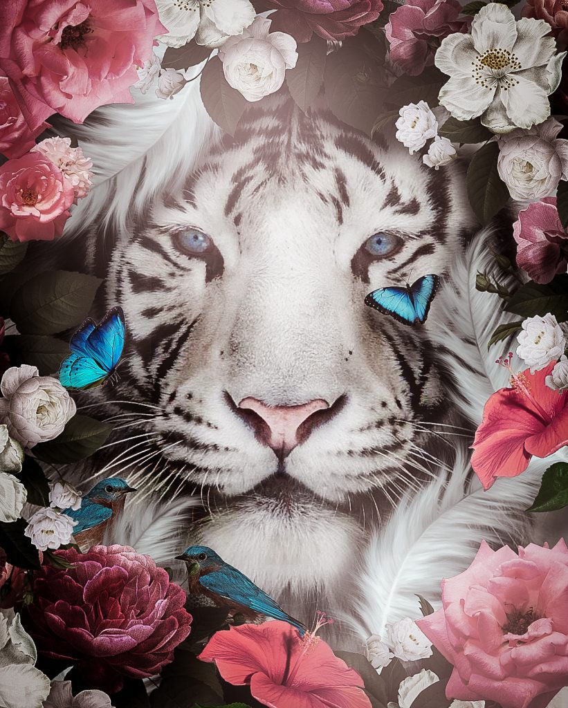 Portrait Tiger
