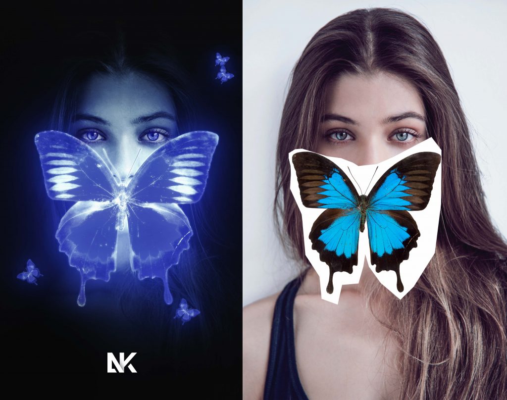 butterflyV_N